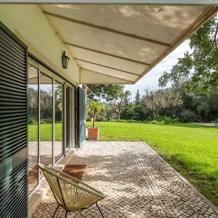 Charming House In Cascais Villa *