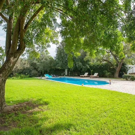 Charming House In Cascais Villa *
